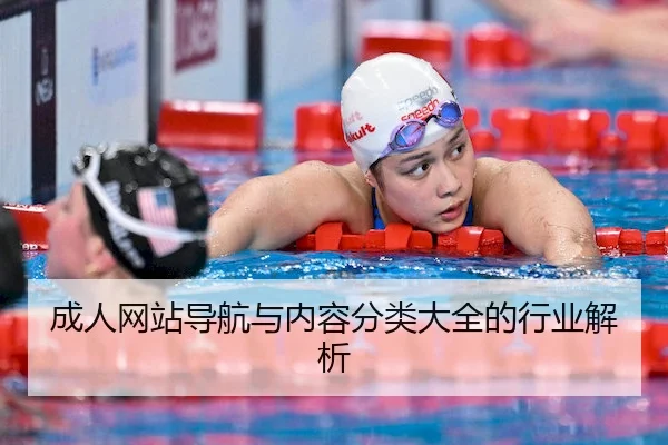 成人网站导航与内容分类大全的行业解析